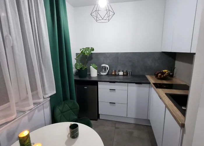 13 Kawalerka Szmaragdowa צ'סטוצ'ובה