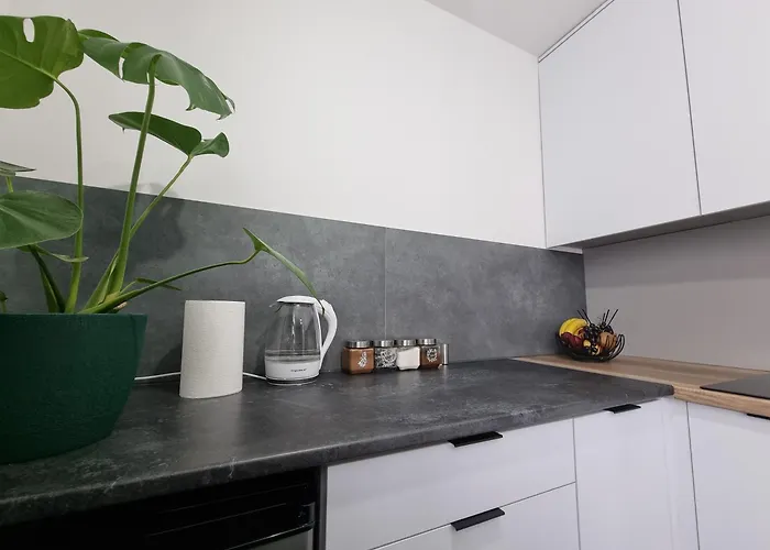 13 Kawalerka Szmaragdowa *